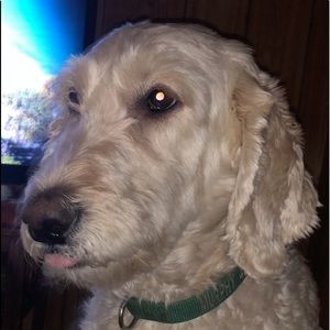 Meet your Posher, Shade